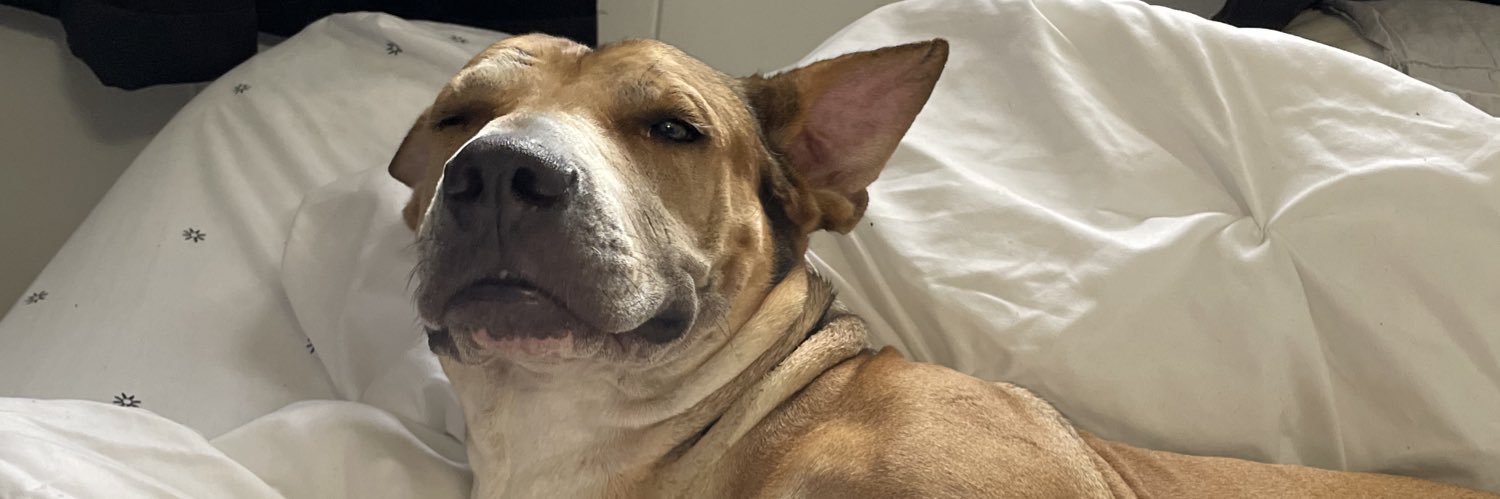 blade, son of stan banner