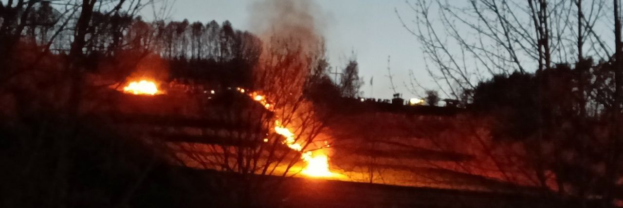 🌺 Conja 🥦 banner