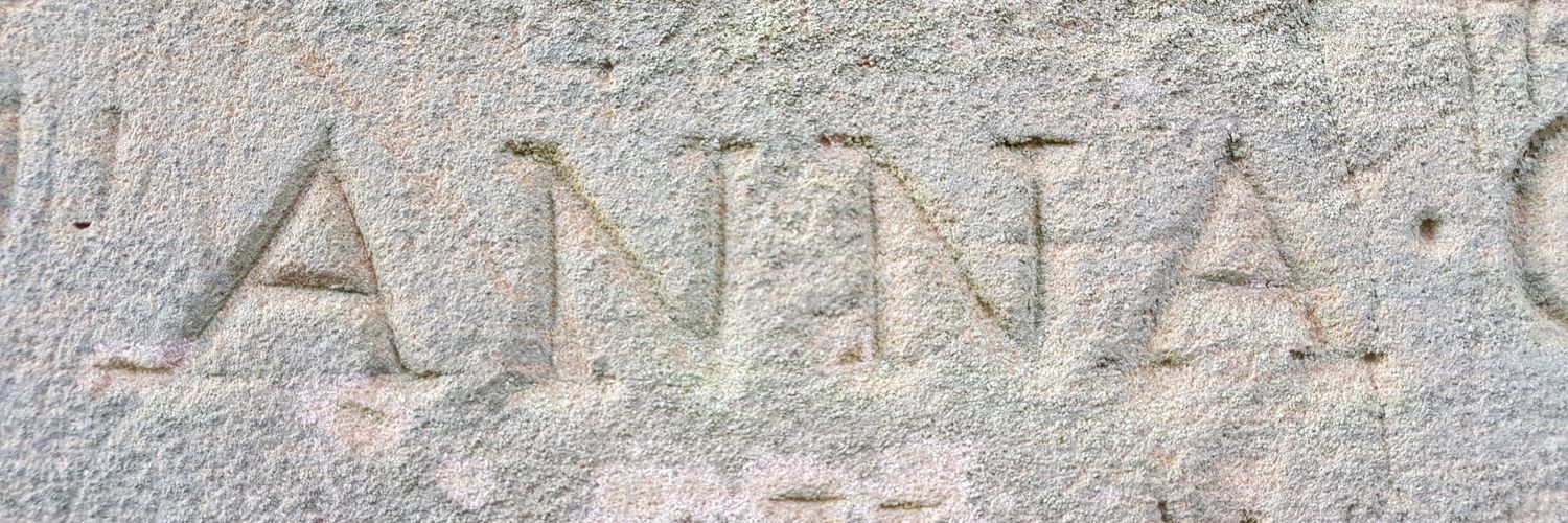 Anna Benn banner