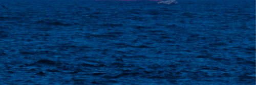 teres_n's profile banner image