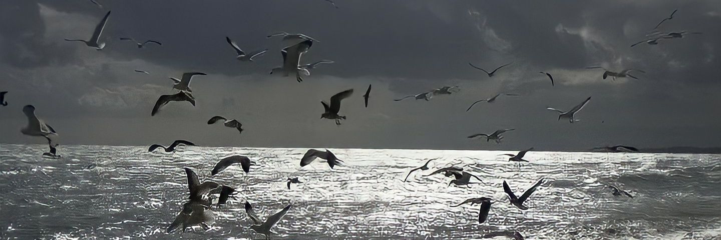 AtticusMontag's profile banner image