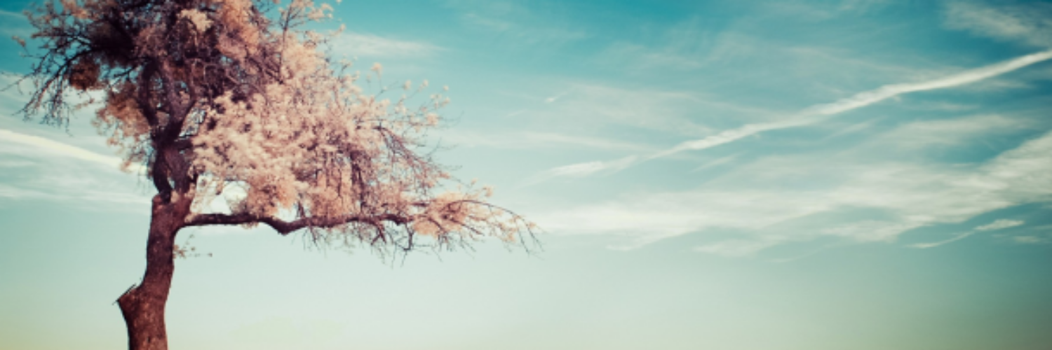 juliaixa's profile banner image