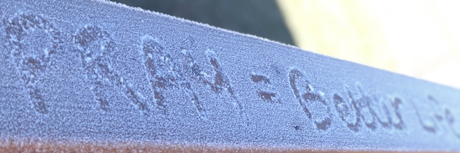 Kelsey Thompson banner