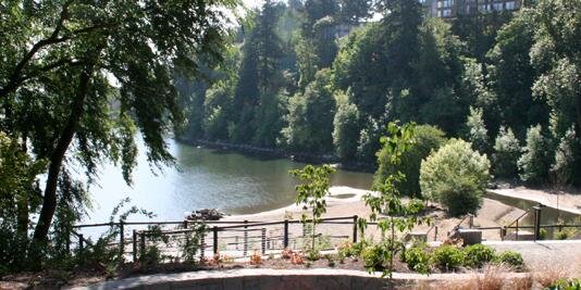 Lake Oswego Chamber banner