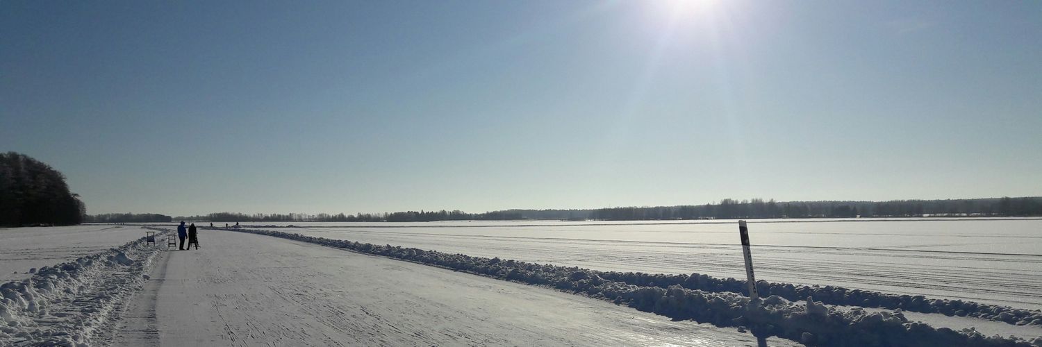 mimalmi's profile banner image