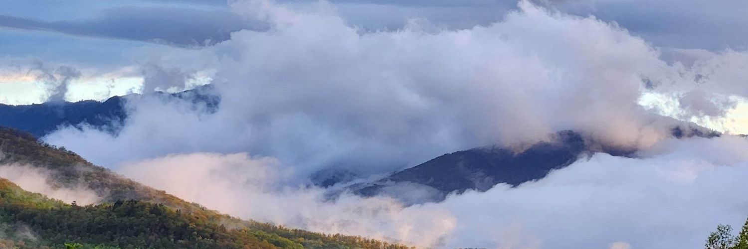 Jason Jackson banner