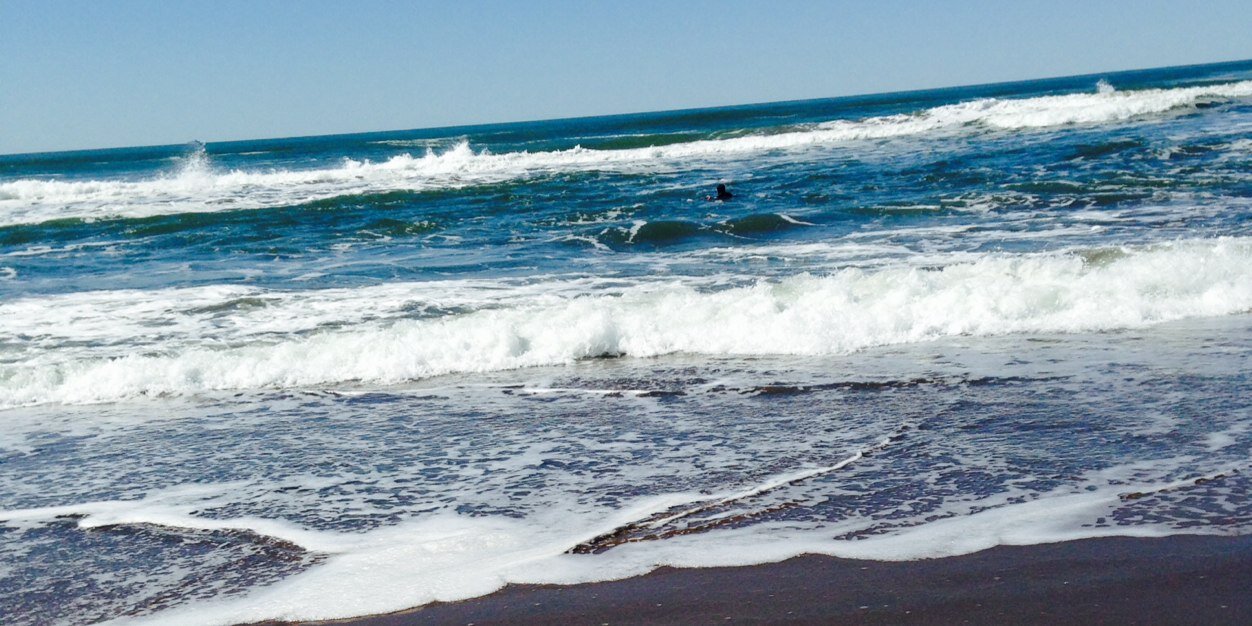 Ulash Thakore-Dunlap banner