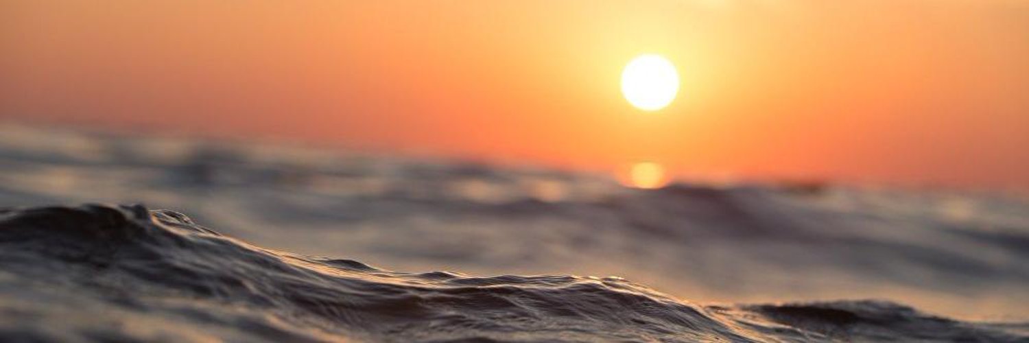 César Castillo banner