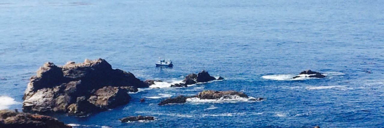 Susan Mitchell banner