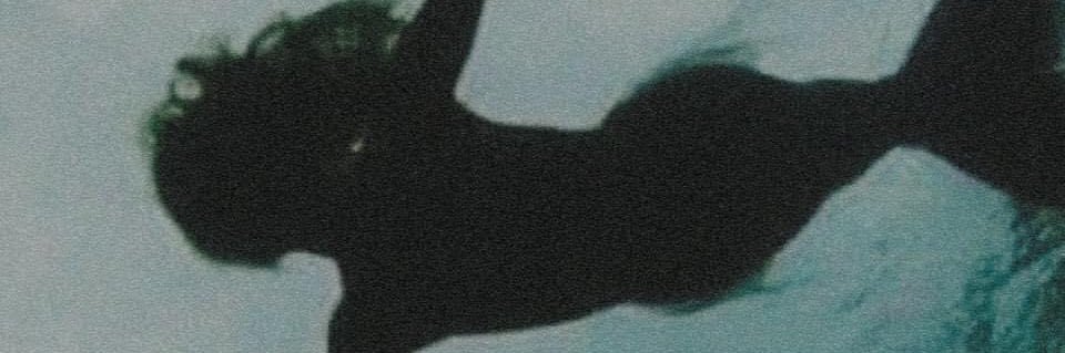 dafneespino's profile banner image
