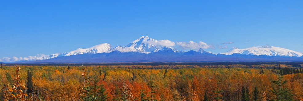 WrangellStENPS's profile banner image