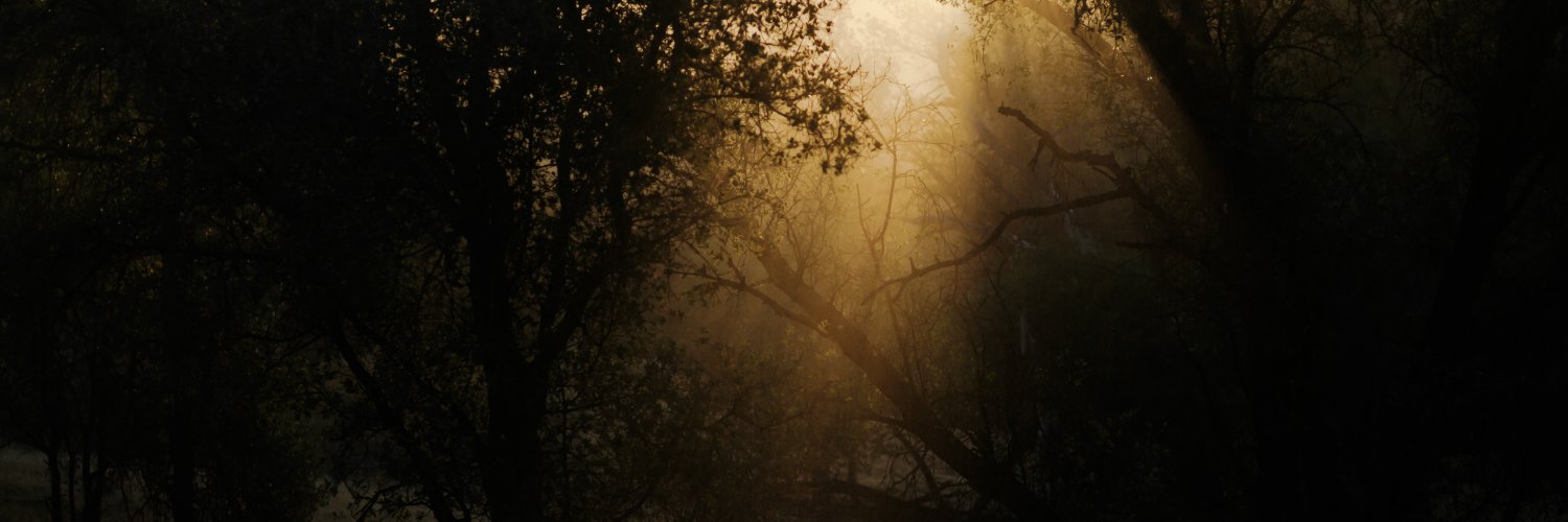 bykellesauer's profile banner image