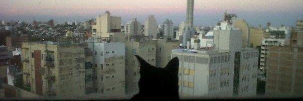 Juliana Rodríguez Salvador banner