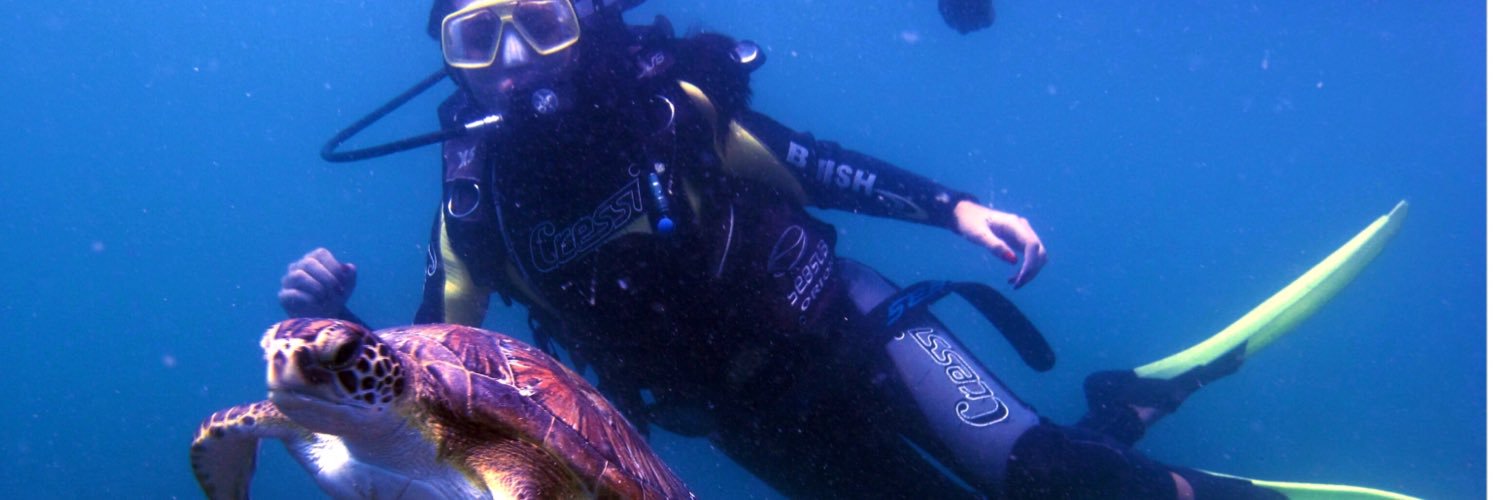 kellycley's profile banner image