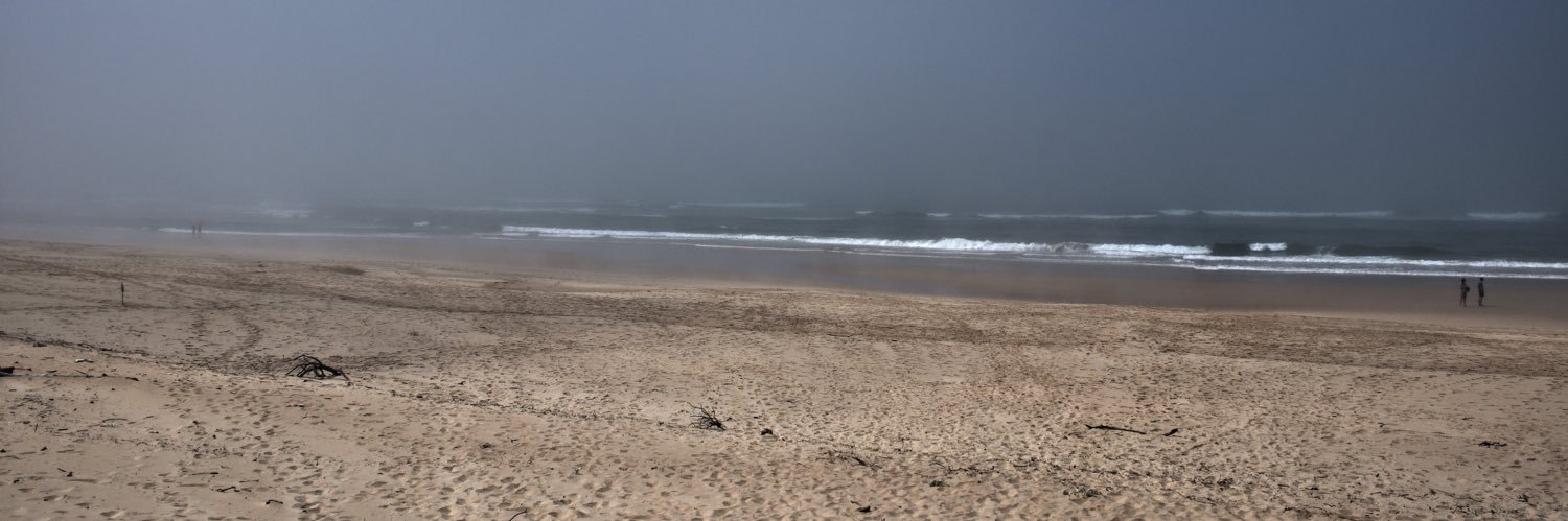 NFT_stg's profile banner image