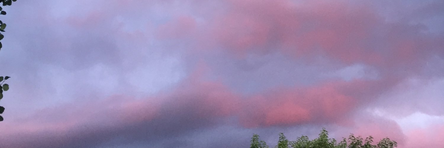 joyouswilliams's profile banner image
