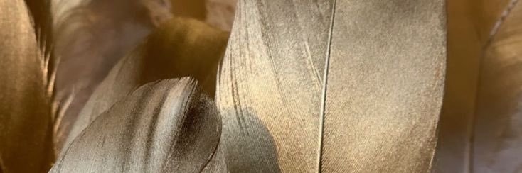 Daniela Toloza Rocha banner