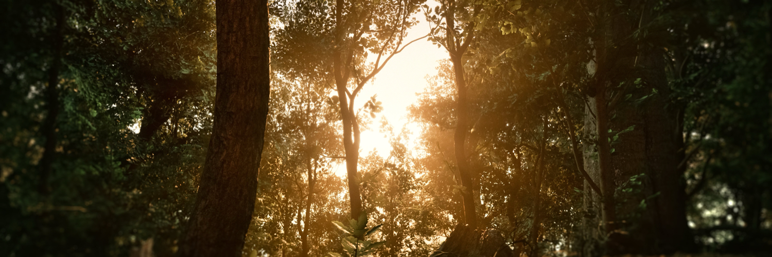 Versfeld's profile banner image