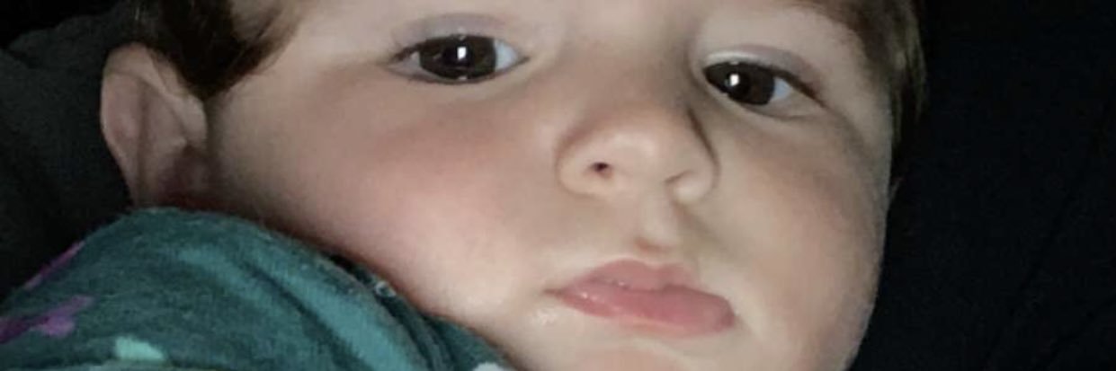 maryingribelli's profile banner image