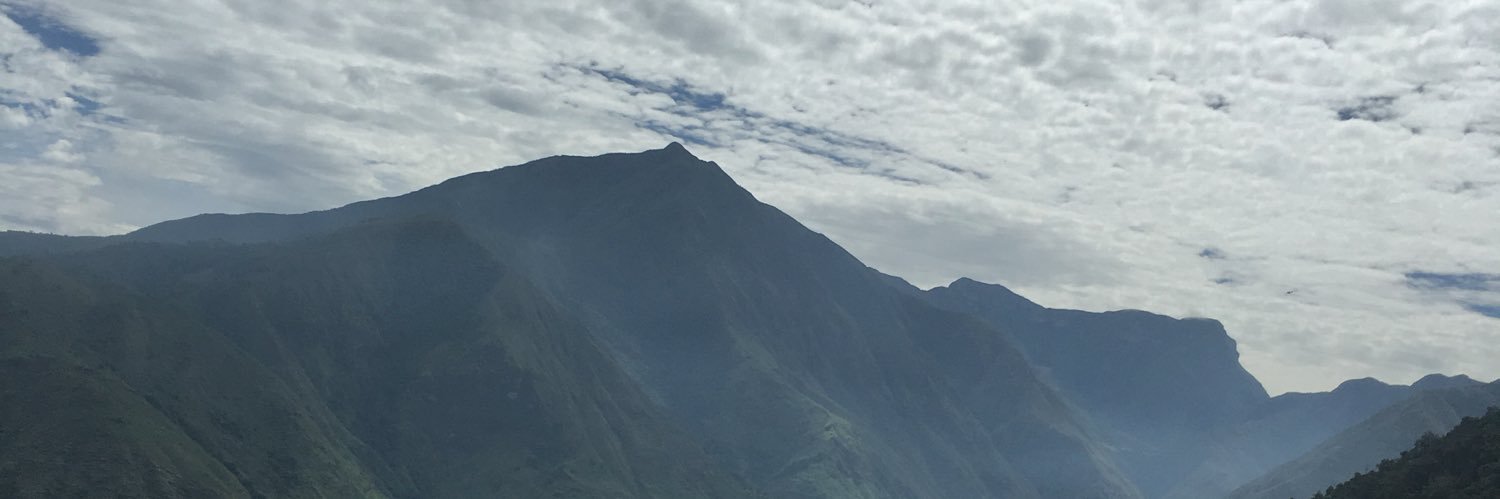 Ana Maria Castaño banner