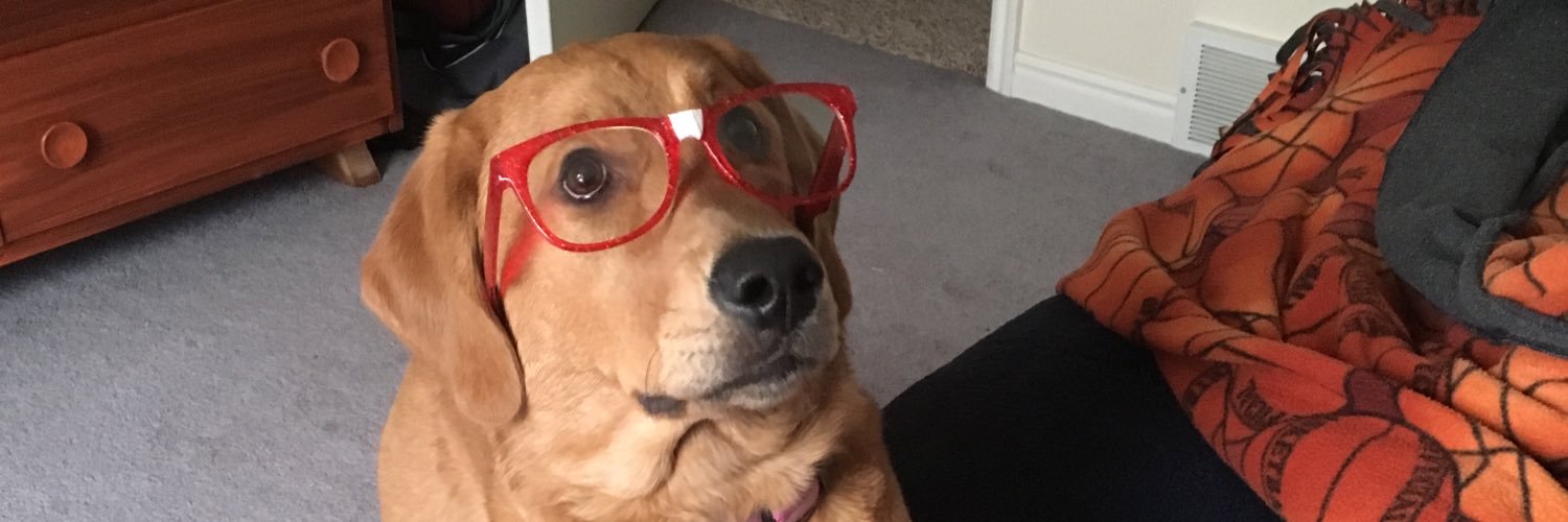 LyndseyBoo's profile banner image