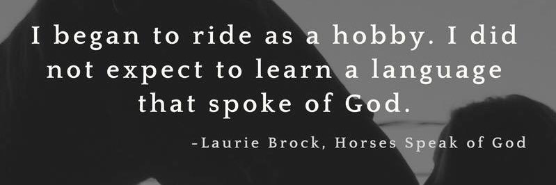 Laurie B. banner