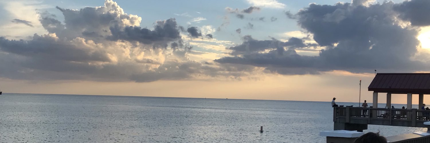 flmalta's profile banner image