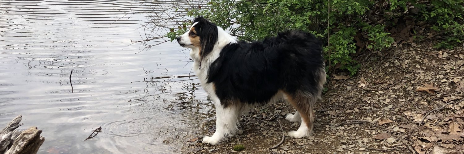 ColeWix2's profile banner image