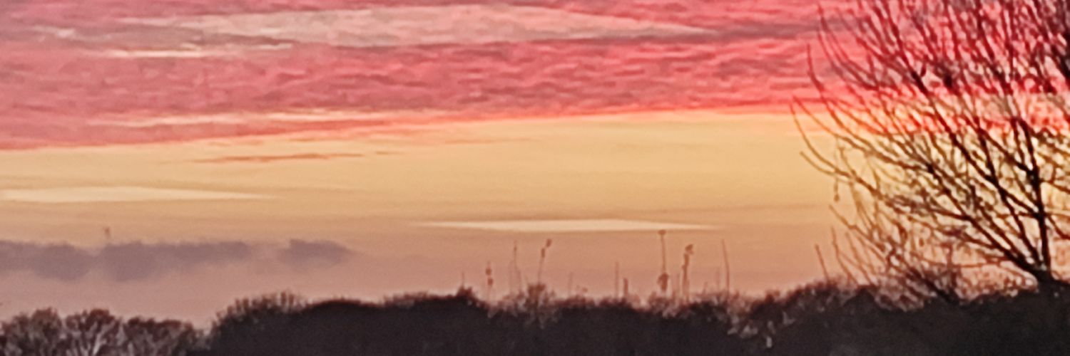 stevestarkie's profile banner image
