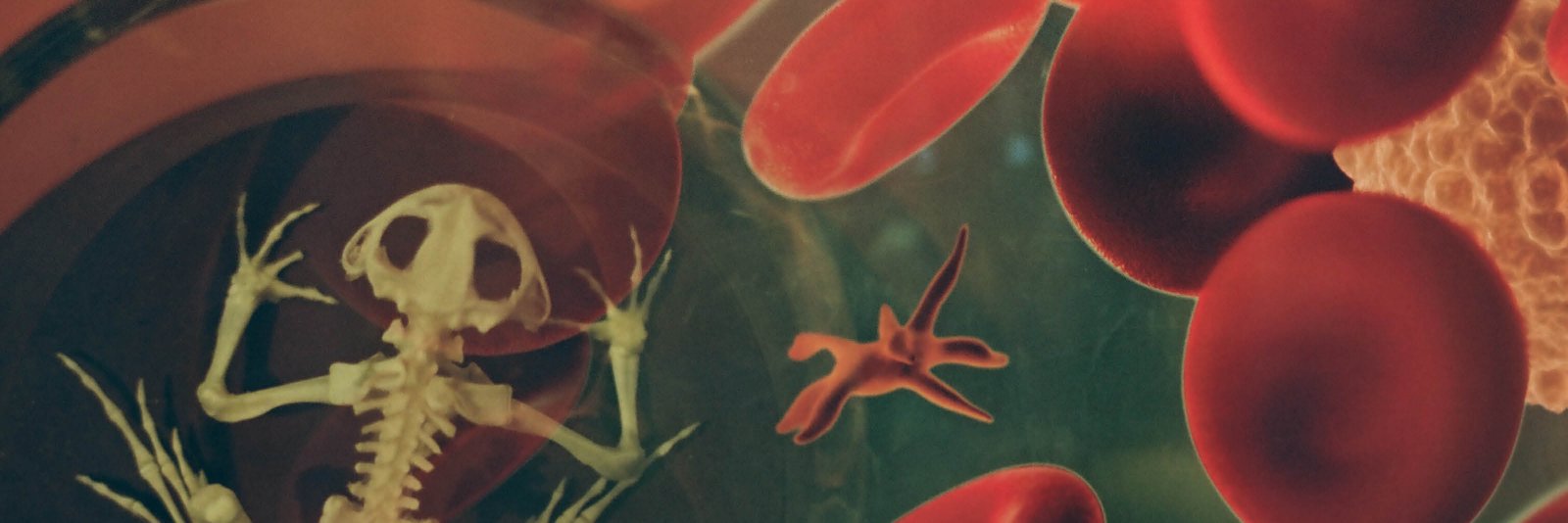 Science World Teacher Resources banner