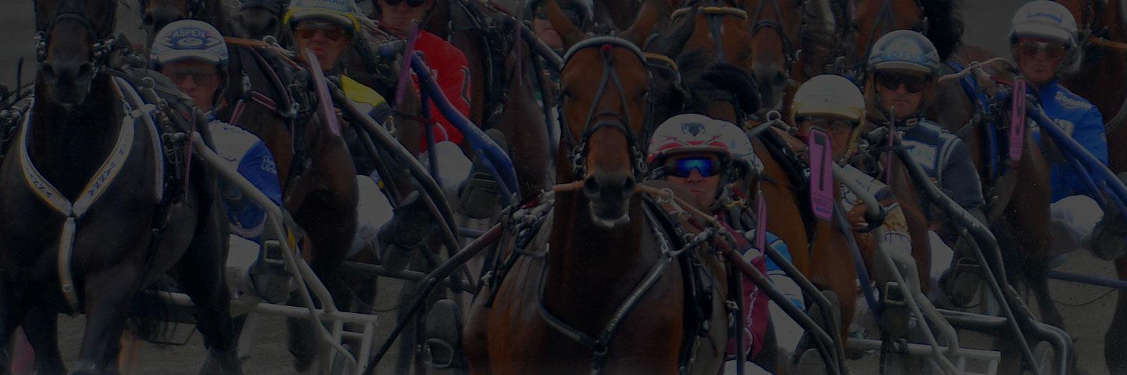 alltomtrav's profile banner image