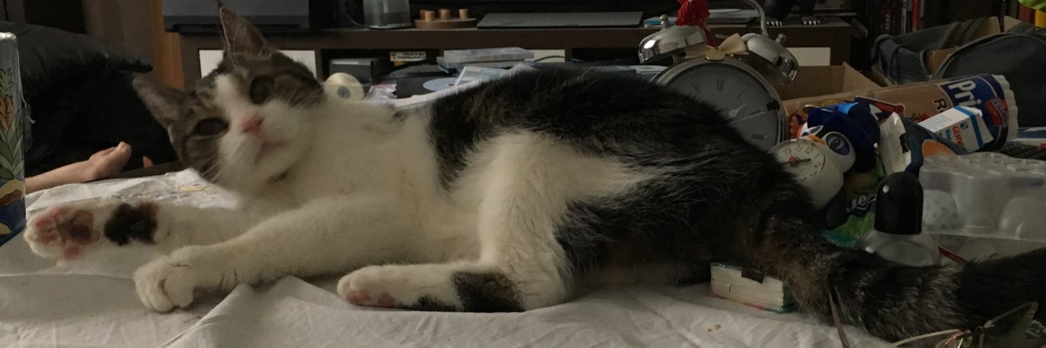 melliispunk's profile banner image