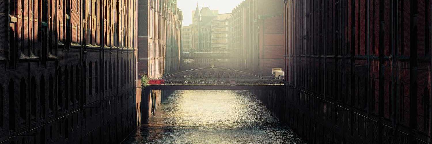 erika octadea banner