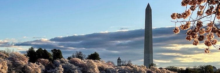 LLynch1's profile banner image