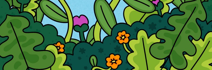 marceibarrac's profile banner image