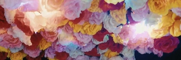 yujilono's profile banner image
