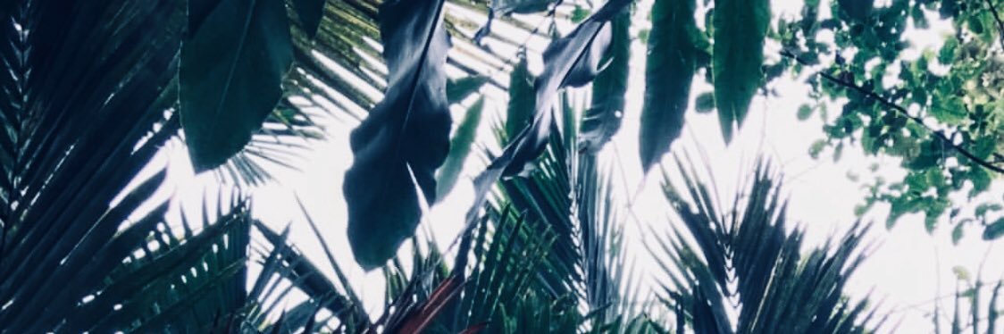 hey_zissy's profile banner image