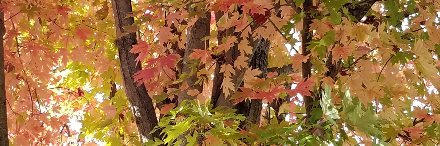 cry2726's profile banner image