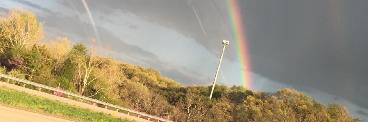 TwatchNeshTweet's profile banner image