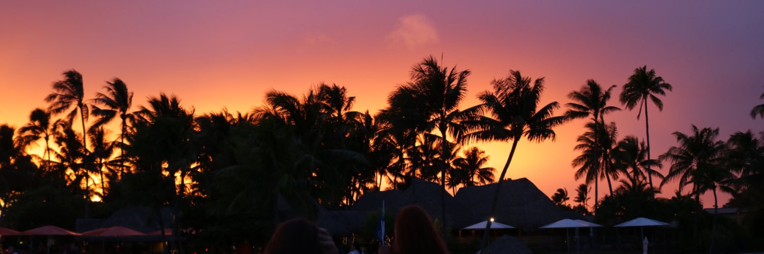 karaleeanne3's profile banner image