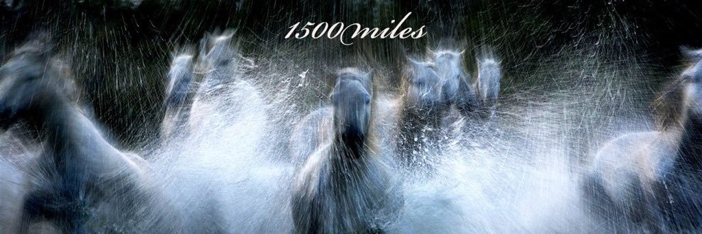 1500miles's profile banner image