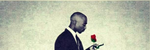 taylanecm's profile banner image