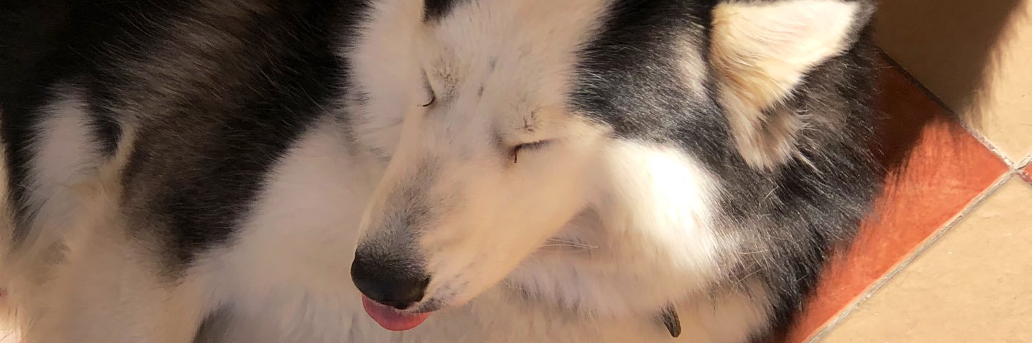 FerrnandaVzla's profile banner image