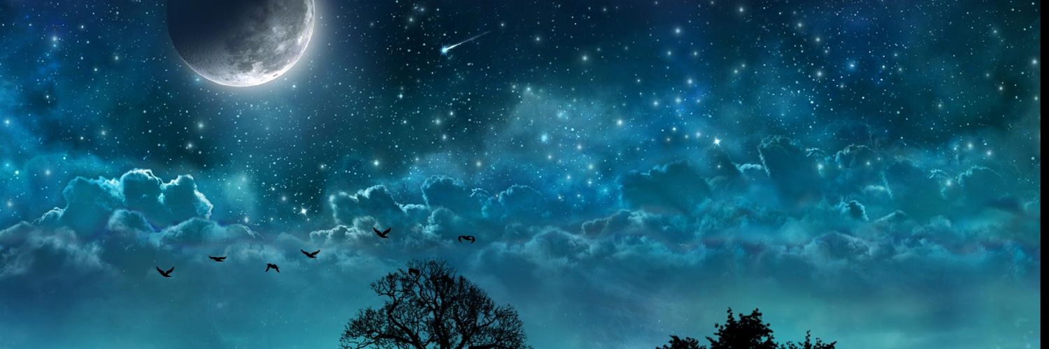 ribeirokuka's profile banner image