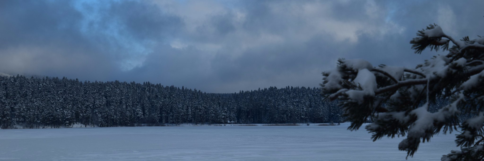 melikeebursali's profile banner image