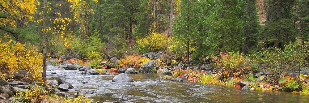 CDFW Spill Prevention & Response banner