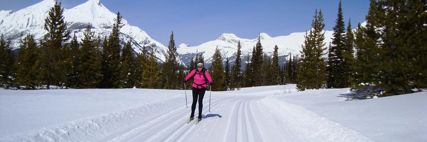 SkiHere's profile banner image
