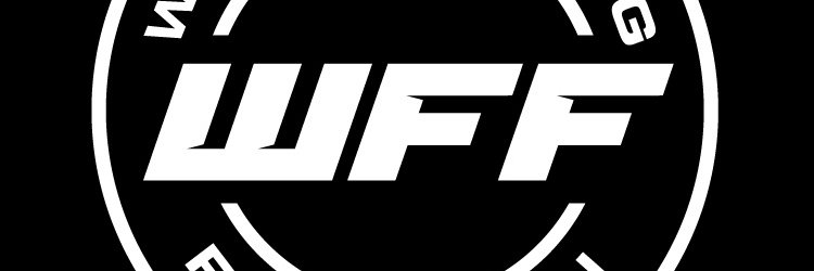 World Fighting Federation banner