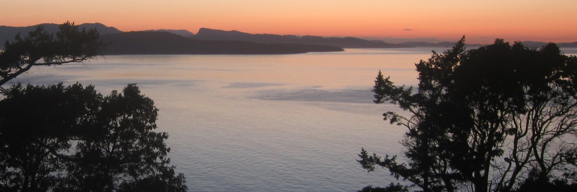 svanes's profile banner image