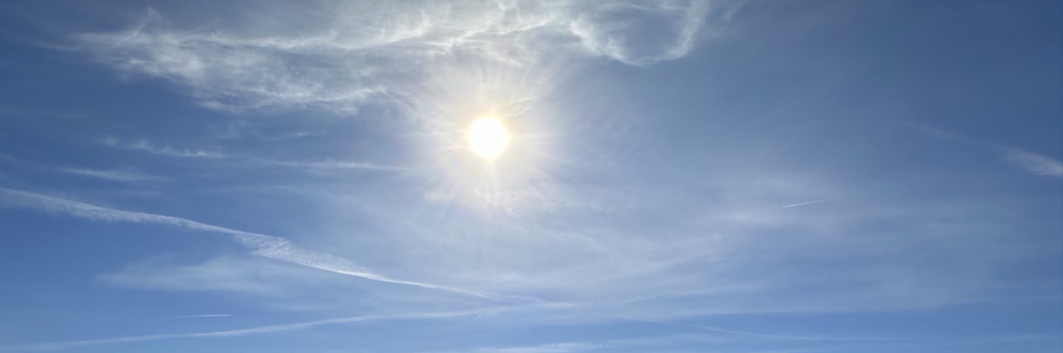 Marisol Becerra banner